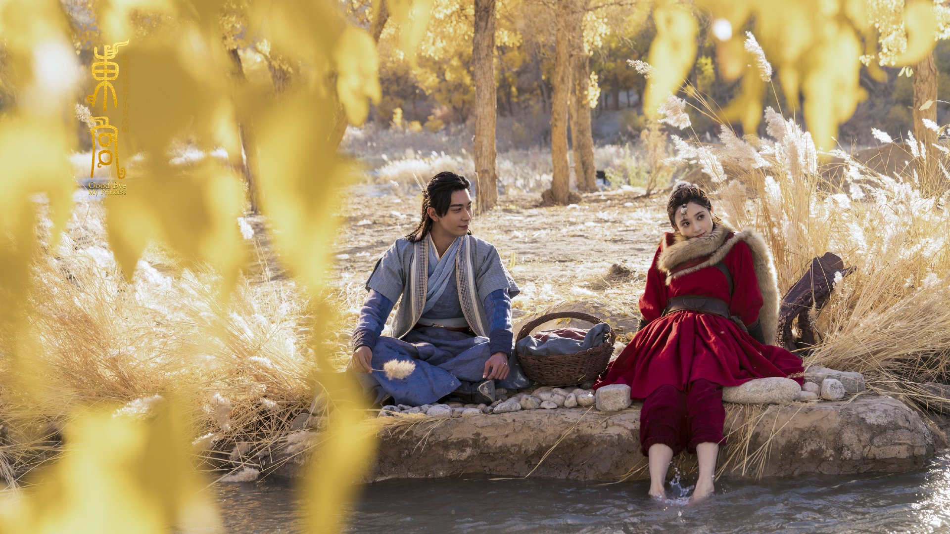 -足球运动在青少年中的普及率持续提升，论青少年足球发展的重要性