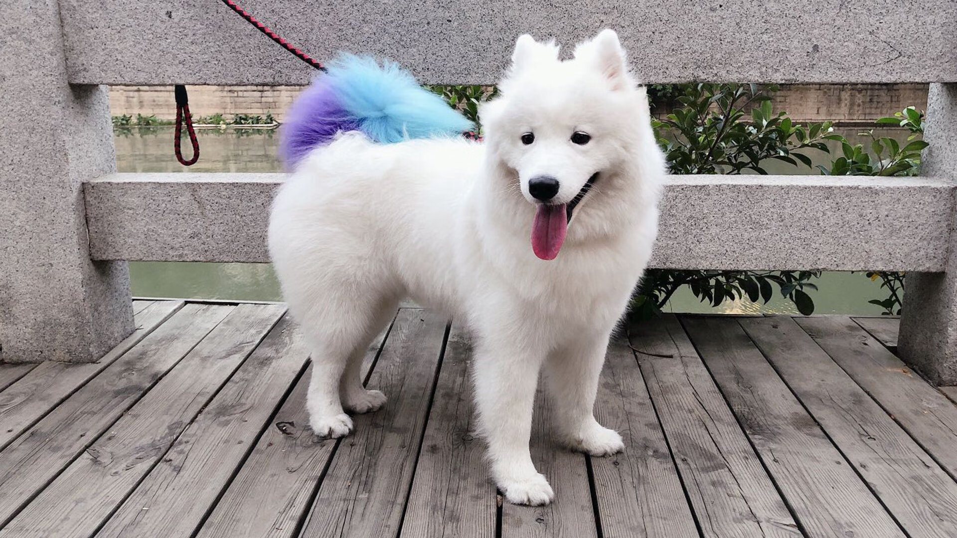 九游游戏中心官网-欧国联赛推陈出新，打破常规出奇制胜，欧国联赛比赛结果