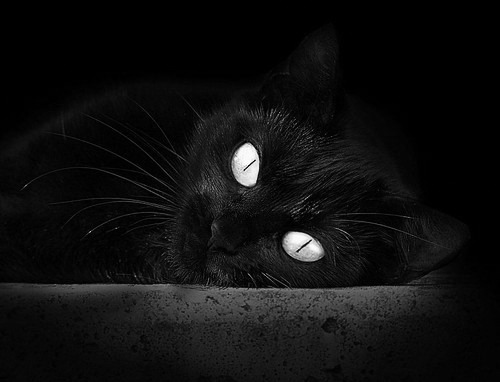 九游正版入口-体育新闻中心启动体育视频创作标准体系建设，体育新闻短视频