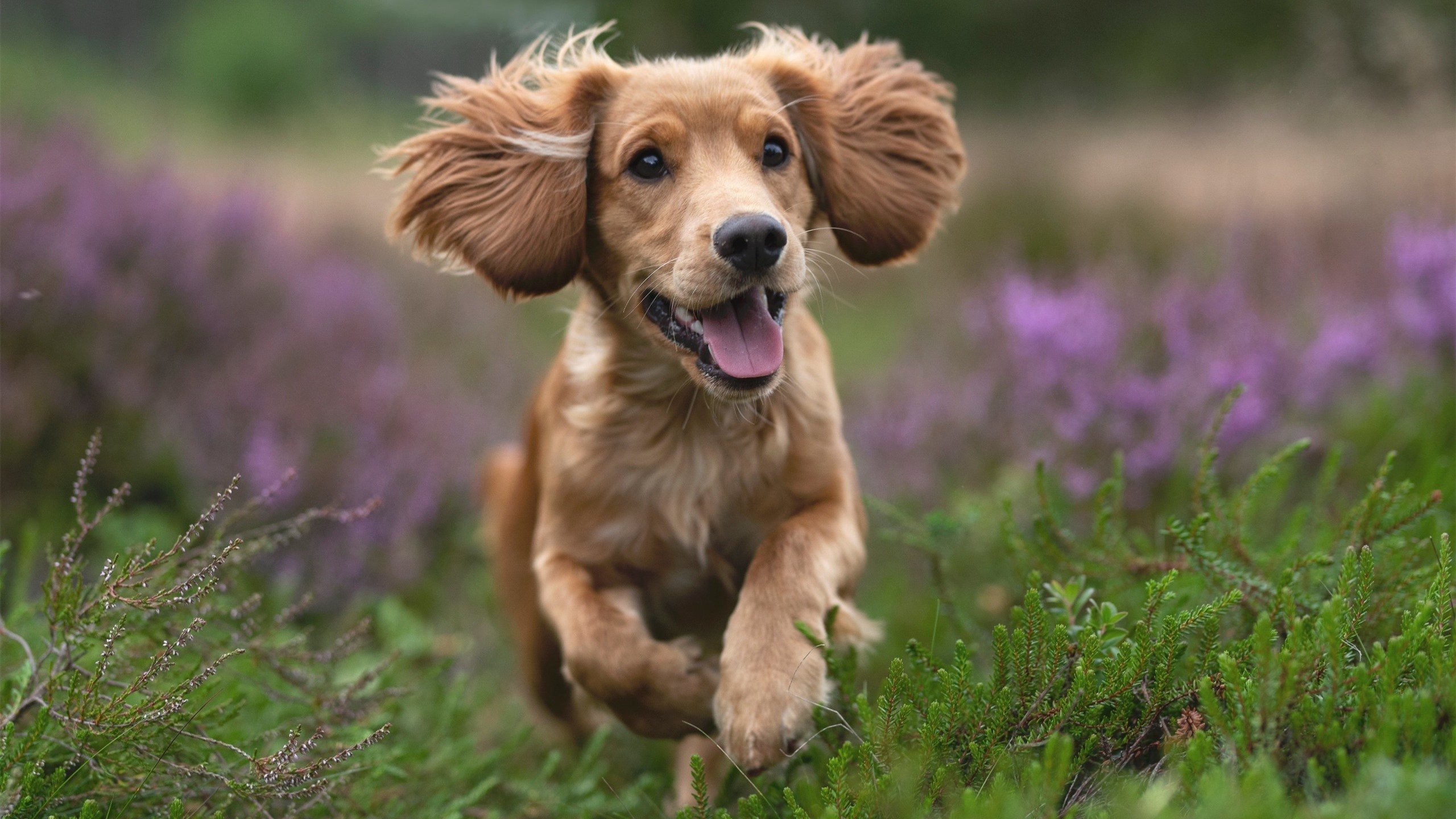 JiuyouAPP下载-奥预赛中国青年队战平 球迷鼓励团队合作，中国国家青奥队