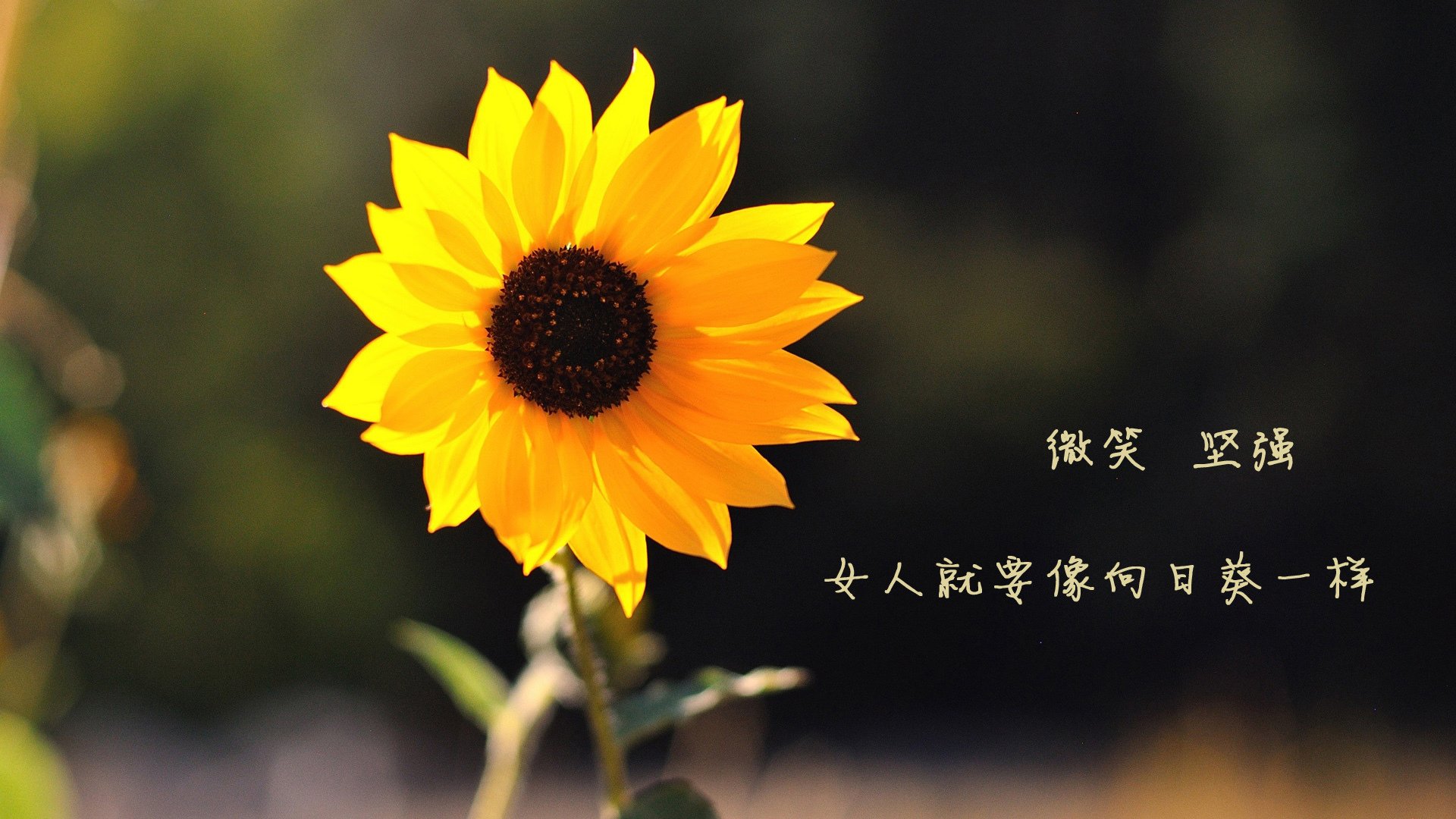 地方足球协会加强赛事统筹推动跨区联赛协作，地方足球协会怎么成立