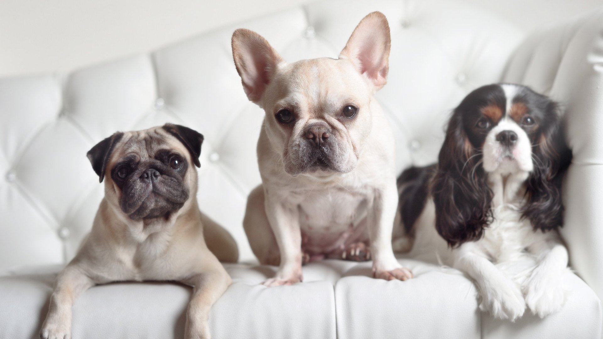 李冰洁泳池英姿激励无数年轻选手,2021李冰洁游泳比赛视频播放