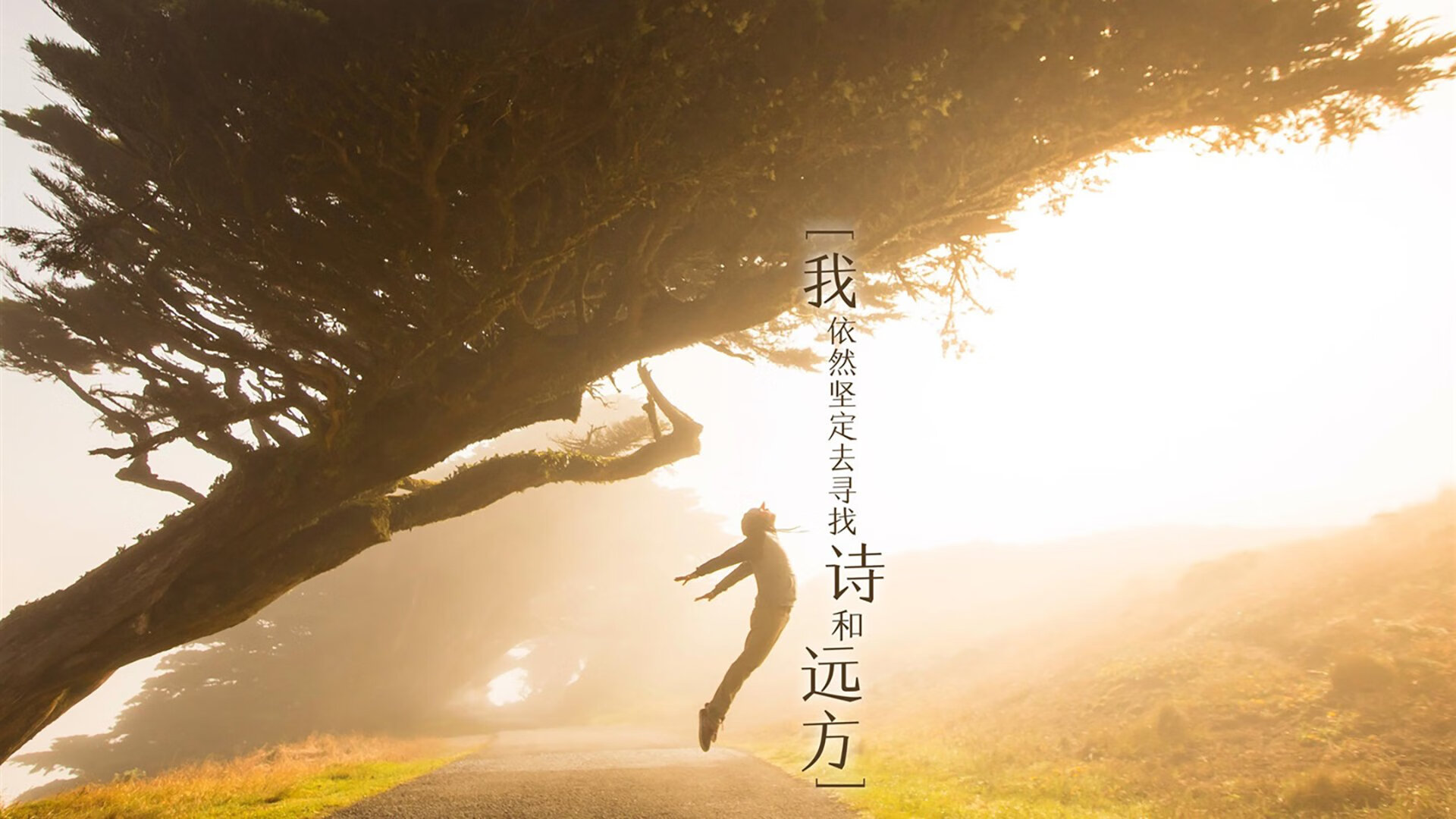 袋鼠队灵活多变的打法，持续增加赛场上不确定性，袋鼠组合